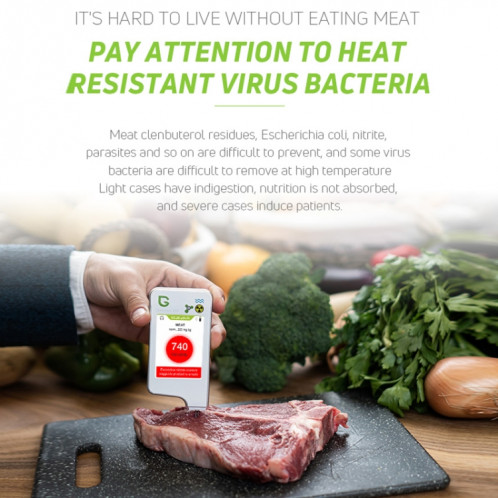 Greentest ECO6 détecteur environnemental de rayonnement nucléaire de qualité de l'eau de nitrate de nourriture de légumes, de fruits et de viande, prise ue (blanc) SG401A155-011