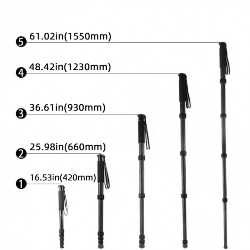BEXIN P285C fibre de carbone DSLR caméra monopode alpinisme bâton photographie Selfie titulaire SB1401787-010