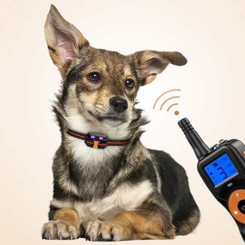 Dispositif de dressage de chien télécommandé électronique intelligent Bouchon d'écorce d'animaux étanche, style: pour un chien (orange) SH701B1248-013