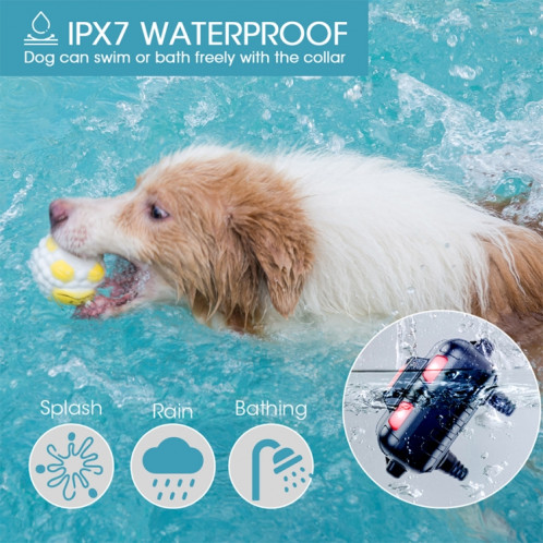 Dispositif de dressage de chien télécommandé électronique intelligent Bouchon d'écorce d'animaux de compagnie étanche, style: pour deux chiens (vert fluorescent) SH702C1066-013