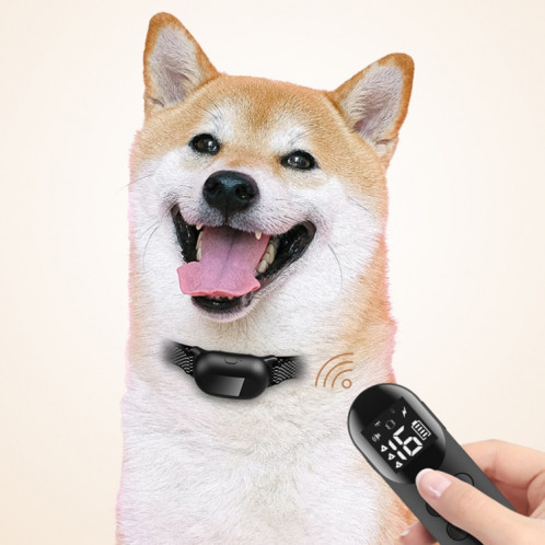 Collier de choc étanche intelligent pour dispositif de dressage de chien télécommandé pour animaux de compagnie, taille: pour deux chiens (noir) SH802A1998-012