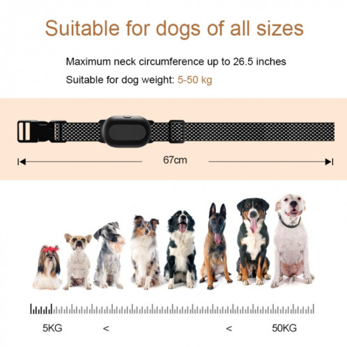Collier de dressage pour chien Dispositif de dressage pour animaux de compagnie télécommandé intelligent de 400 m, spécification: T300 SH64011159-08