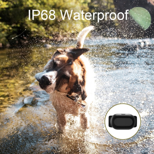 Collier de dressage pour chien Dispositif de dressage pour animaux de compagnie télécommandé intelligent de 400 m, spécification: T300 SH64011159-08