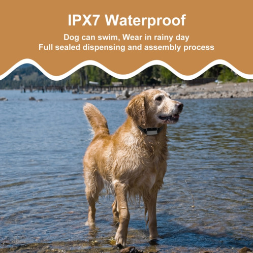 Collier de dressage électronique puissant avec colonne de choc électrique enveloppante pour animaux de compagnie, Uniquement colier SH69021993-08