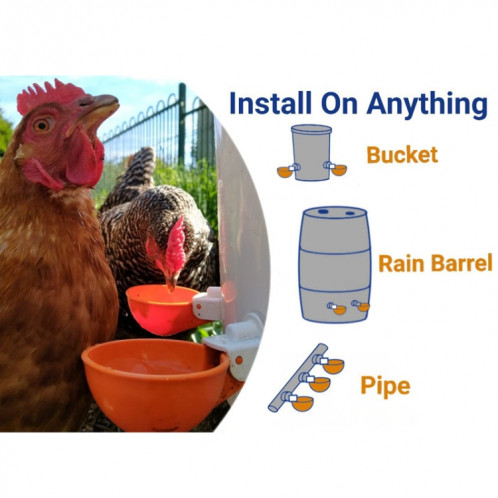 Abreuvoir automatique pour poulet, tasses, distributeur d'eau pour poulet, couleur aléatoire SH0749105-07