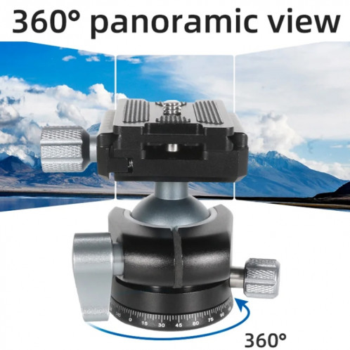 BEXIN RC254 + LH-28 trépied pliant Portable en Fiber de carbone appareil photo reflex support de photographie à cardan central à faible gravité SB11021673-020