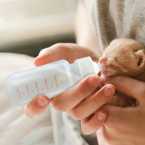 3 pièces/ensemble 50ml nouveau-né animal de compagnie doux mamelon lait bouteille ensemble chiot chats fournitures d'alimentation SH52011240-09