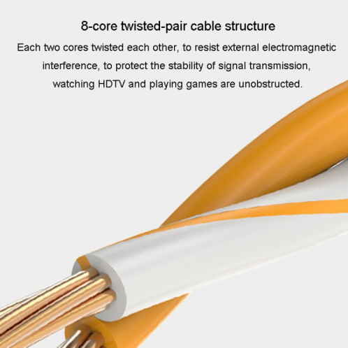JINGHUA Projet d'ordinateur de routeur à double blindage Gigabit de catégorie 6 Câble réseau entièrement en cuivre, taille: 2 M (bleu) SJ902A1113-011