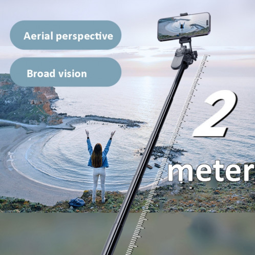 Trépied en métal de 2 m avec 4 interfaces d'extension pour appareil photo de téléphone (noir) SH101A1057-015