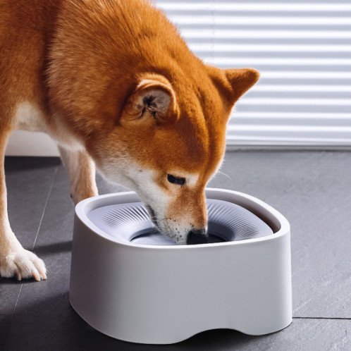 Bol flottant pour animaux de compagnie, sans bouche mouillée, pour chats et chiens, fontaine à boire flottante (violet) SH701C400-011