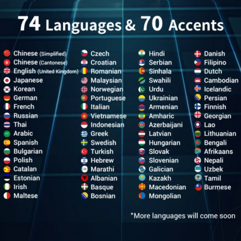 Hishell W12 144 langues Traducteur vocal AI Traducteur de caméra intelligente Dialogue hors ligne Traduction mutuelle en temps réel (Noir) SH901A659-012