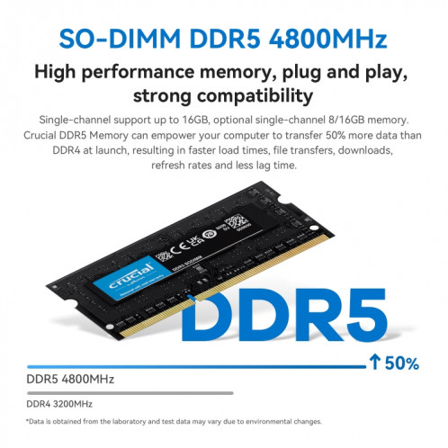 Beelink EQ12 Office Mini PC Processeur Alder Lake-N100 16 Go DDR5 RAM 500 Go SSD Prise UE SB1502750-010
