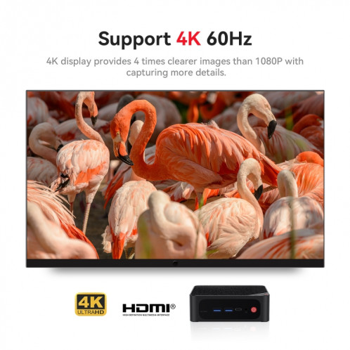 Beelink SER5 MAX Mini ordinateur AMD Ryzen 7 5800H processeur 16 Go DDR4 500 Go SSD prise US SB2401820-019