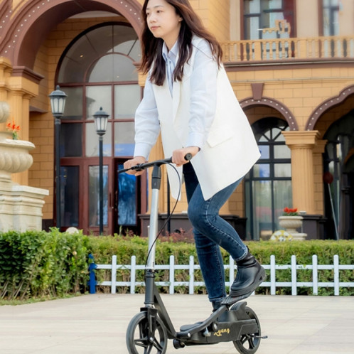 Scooter adulte scooter de mobilité à deux roues vélo à pédale à double aile, modèle: argent pliant SH84041621-09