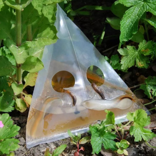 Sac piège à limaces d'escargot, 20 pièces/paquet, piège à légumes de jardin, sac en plastique Transparent SH01121671-06
