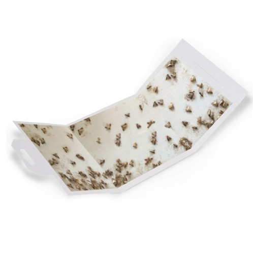 Autocollant de piège à insectes attrape-mites SH0119459-09