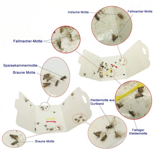 Autocollant de piège à insectes attrape-mites SH0119459-09