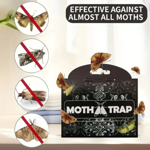 Autocollant de piège à insectes attrape-mites SH0130745-06