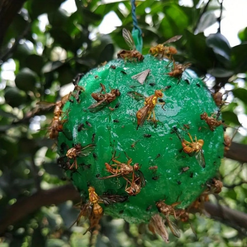 Boule collante extérieure de piège à agrumes de moustique de mouche de fruit (vert) SH301A1006-06