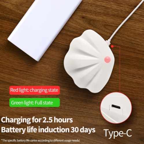 Magnetic Motion Sensor Wall Lamp Rechargeable LED House Number Light SE Version 500mAh(White) SH801A409-011