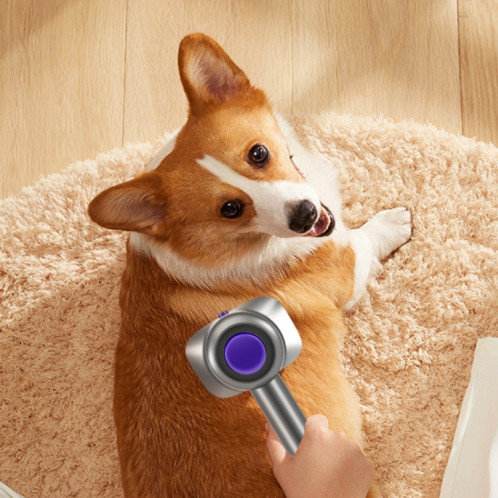 Ensemble 2 en 1 de têtes de brosse pour animaux de compagnie pour aspirateur Dyson V7 V8 V10 V11 SH7701812-05