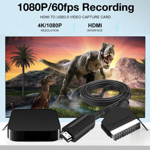 Convertisseur péritel vers HDMI pour décodeurs, consoles de jeux, audio et vidéo (noir) SH202A1368-06