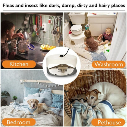 Flea Trap Pet Home Flea Lamp, Type de prise: SH960367-09