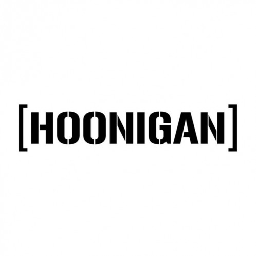 10 PCS HOONIGAN autocollant de voiture vinyle autocollant de fenêtre (noir) SH501A856-04