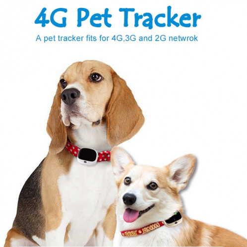 RF-V43 IP67 étanche GPS + LBS + WiFi Pet Locator Pet Collar Tracking Device (Noir) SH441B654-014