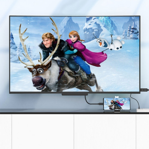 Câble HDTV HDTV UC507 USB-C / TYPE-C 2K 30HZ SH01771109-06