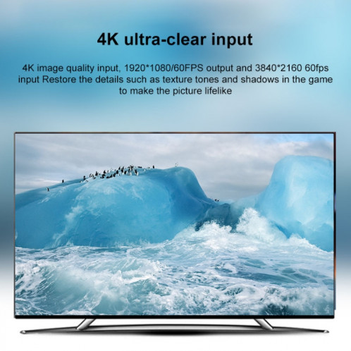 Boîte de capture audio vidéo Z29A HDMI femelle vers USB-C / Type-C mâle (gris) SH8427701-013