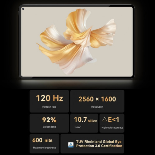 HUAWEI MatePad Pro 11 pouces 2022 Wi-Fi GOT-W09 8 Go + 256 Go, HarmonyOS 3 Qualcomm Snapdragon 888 Octa Core, prend en charge le double WiFi/BT/GPS, ne prend pas en charge Google Play (blanc) SH794W1751-012