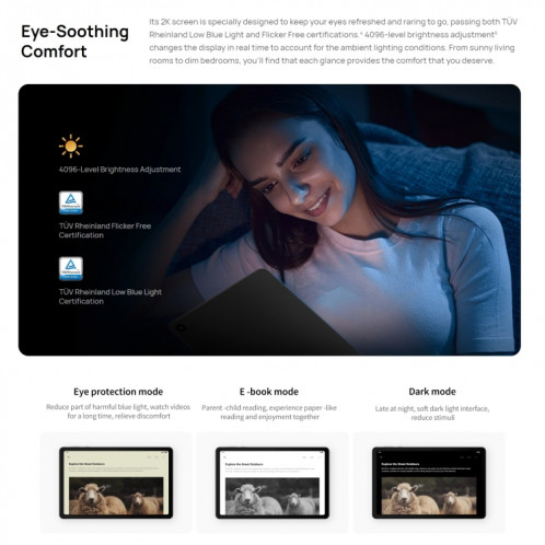 HUAWEI MatePad SE, 10,4 pouces, 6 Go + 128 Go, HarmonyOS 3 Qualcomm Snapdragon 680 Octa Core, prend en charge le double WiFi/BT, réseau : 4G, ne prend pas en charge Google Play (noir) SH999B1885-012