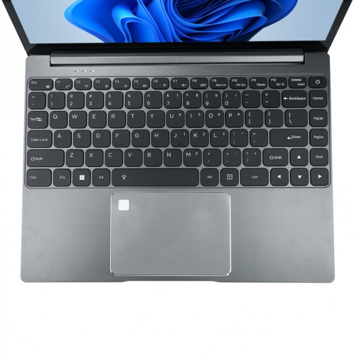 Ordinateur portable HONGSAMDE HSD1409, 14,1 pouces, 16 Go + 128 Go, Windows 10 Intel Celeron N5105 Quad Core jusqu'à 2,9 GHz, prise en charge de la carte TF et WiFi et BT et HDMI, prise US (gris foncé) SH63DG1755-07