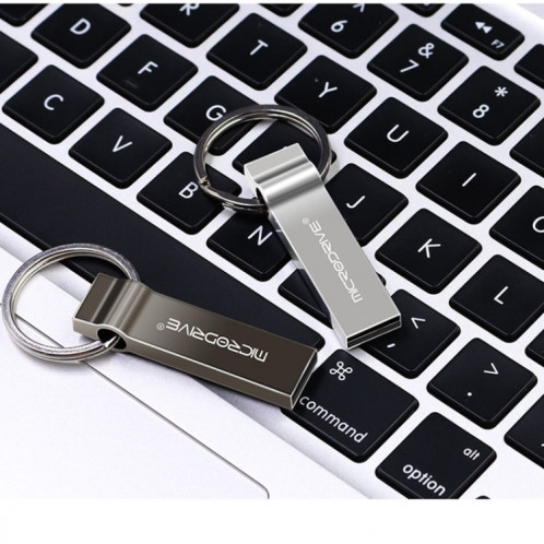 MicroDrive 128 Go USB 2.0 Metal Keychain U Disk (Noir) SM311B535-09