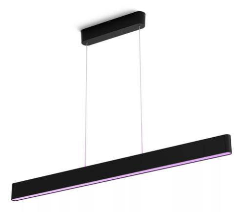 Philips Hue Ensis Lampe à suspension, noir 203746-02