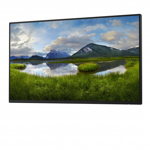 Dell P2425HEWO 880735-06