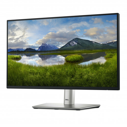 Dell P2225H 880707-012