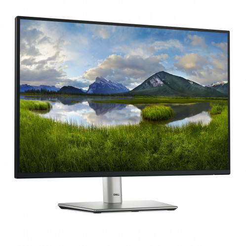 Dell P2425 880714-012