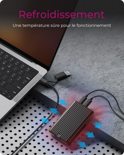 ICY BOX IB-CR601M-C31 M.2 Boîtier SSD + lecteur de carte 180758-07