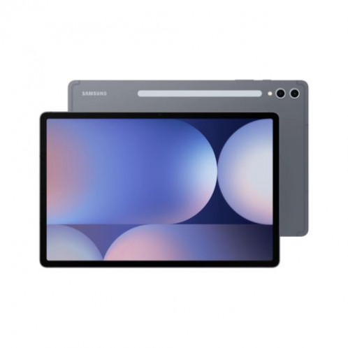 Samsung SM-X820 Galaxy Tab S10+ 12.4'' Wi-Fi 12GB RAM 256GB Gray EU DA73350554-01