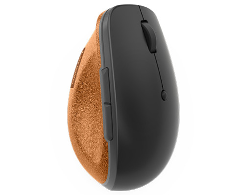 Lenovo Go Souris sans fil, verticale 796028-06