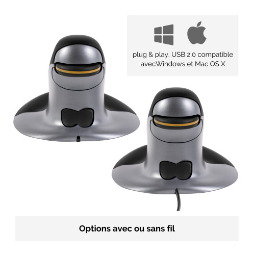 Fellowes Souris verticale S droitier/gaucher sans fil 463017-06