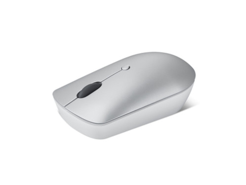 Lenovo 540 gris 795818-07