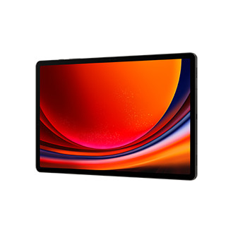Samsung Galaxy Tab S9+ WiFi (256GB) 12GB graphite 822096-07