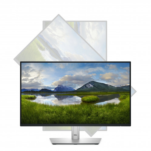Dell P2225H 880707-012