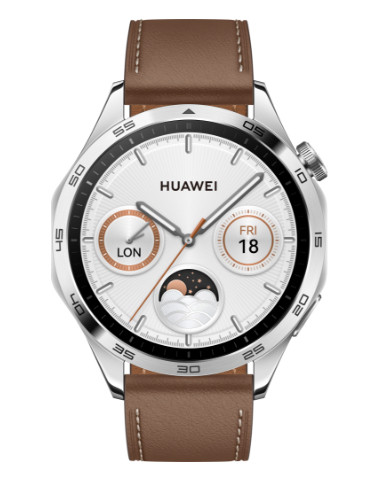HUAWEI Watch GT4 (46mm) inox/marron 848395-01