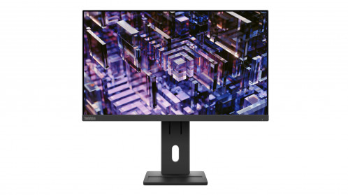 Lenovo ThinkVision E24q-30 115721-013