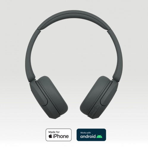 Sony WH-CH520B noir 808530-06