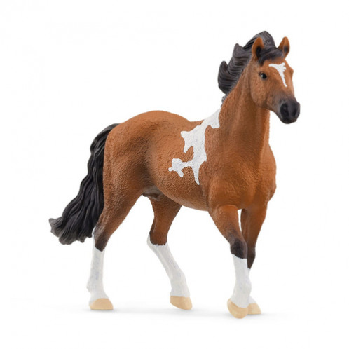 Schleich Club hippique 13978 Etalon Mangalarga Marchador 857558-06